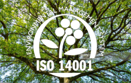 Boom op de achtergrond met stempel voor ISO 14001 – milieubeheersysteem